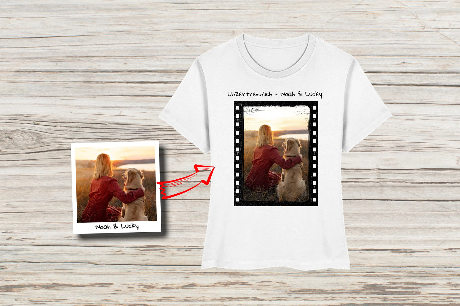 DOG_BOXX_Mein_Lieblingsbild_Banner