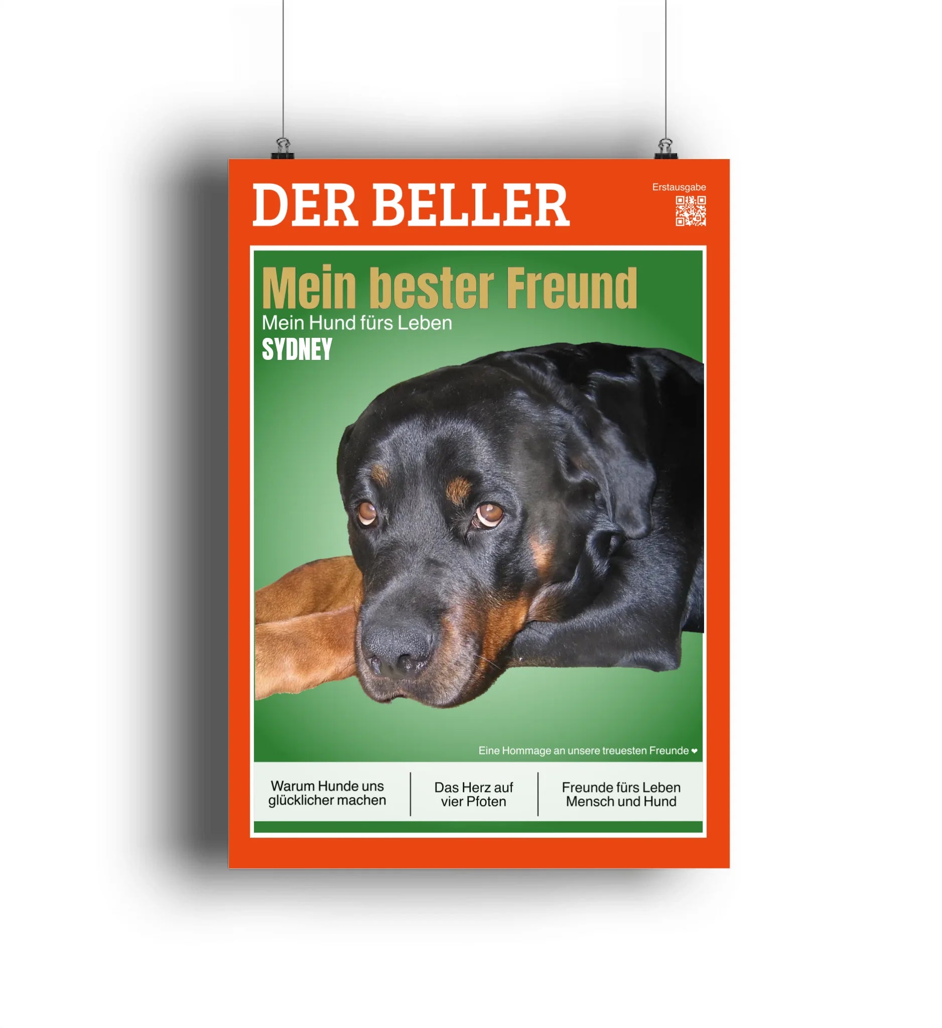 Mein Magazin Cover 🐾 DER BELLER