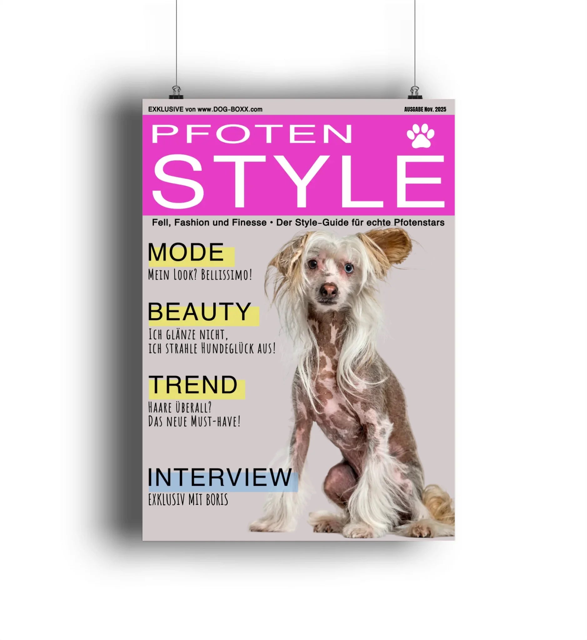 Mein Magazin Cover 🐾 PFOTEN STYLE