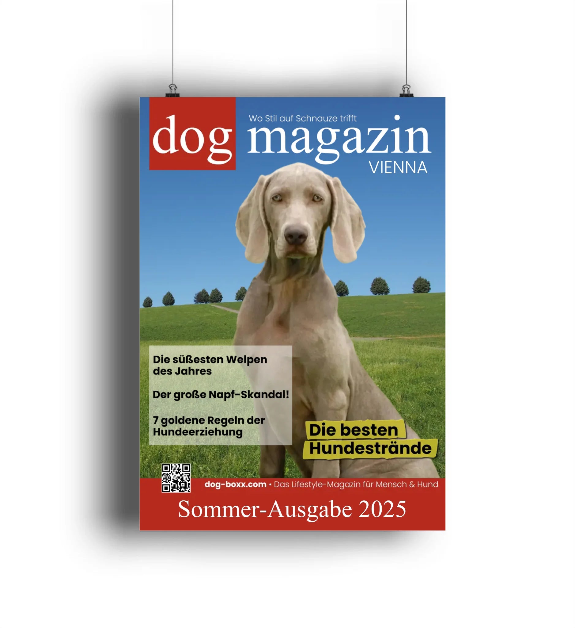 Mein Magazin Cover 🐾 SOMMER