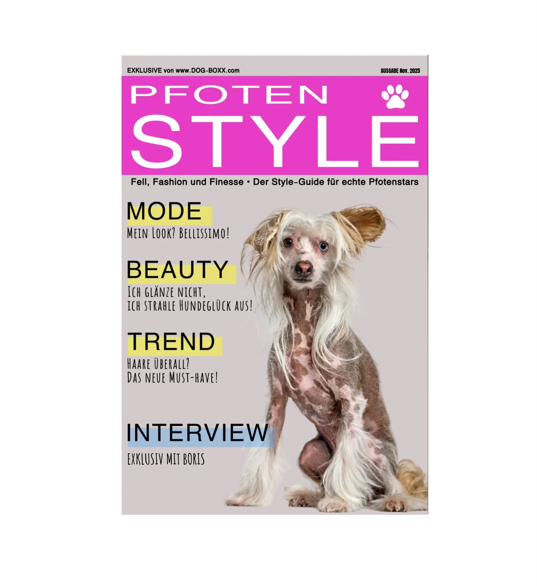 Mein Magazin Cover 🐾 PFOTEN STYLE