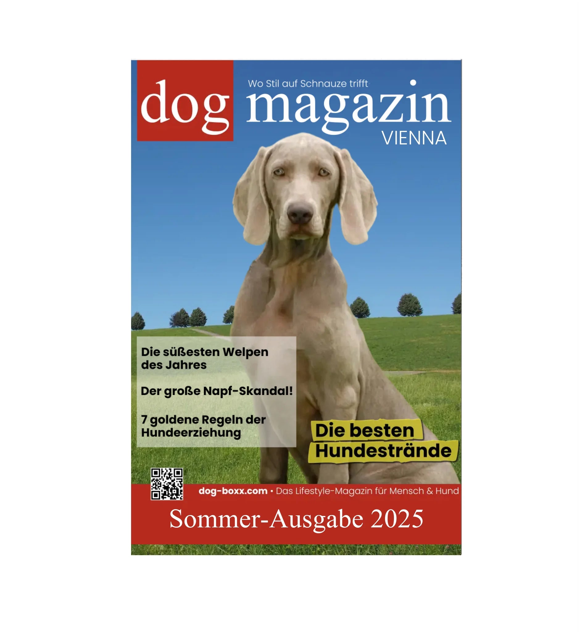Mein Magazin Cover 🐾 SOMMER