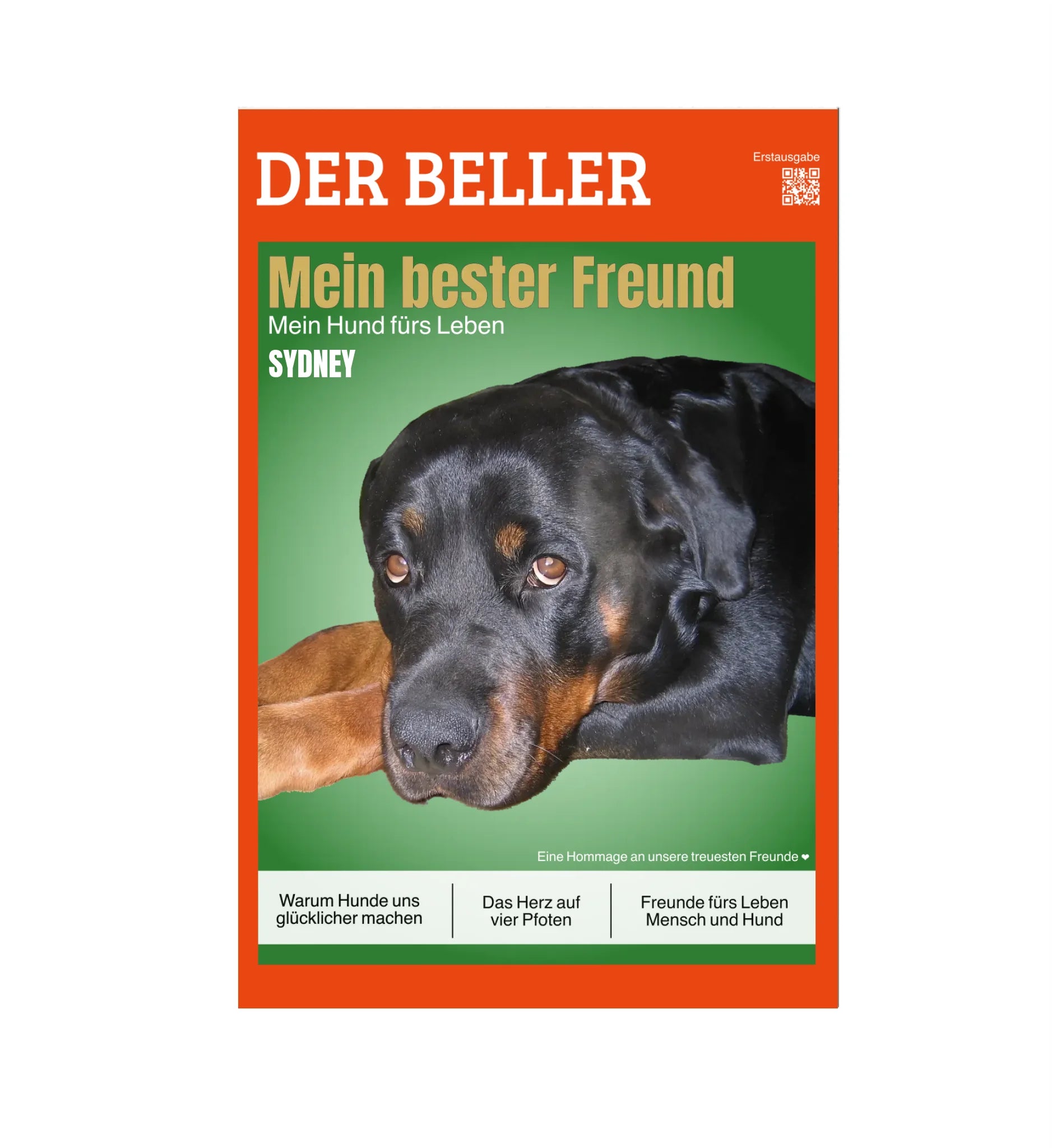 Mein Magazin Cover 🐾 DER BELLER